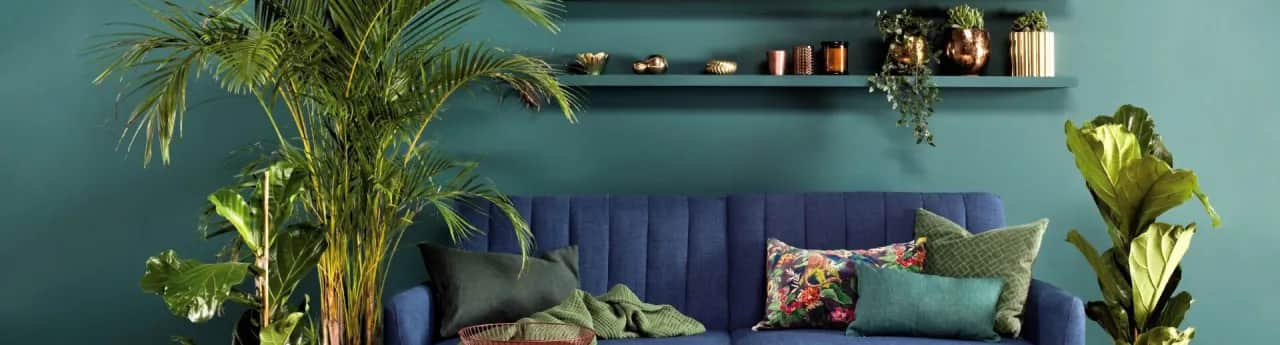 Farba lateksowa jaka najlepsza - wybierz idealną do swojego wnętrza